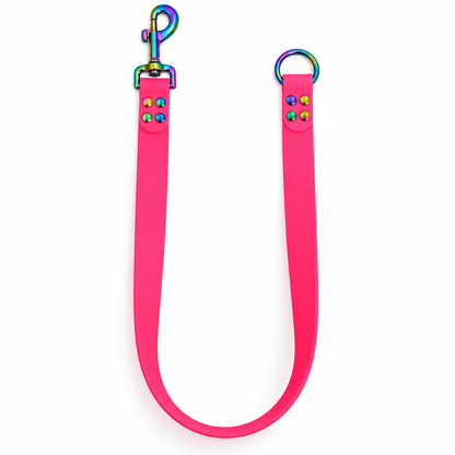 Laisse interchangeable personnalisée en biothane 16 et 25 mm
