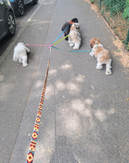 Coupleur de laisse pour chiens 360° anti-nœud en Hexa – Triple, Quadruple et Quintuple – Pattababoune