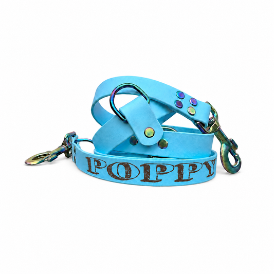 Laisse multiposition personnalisée pour chien - Biothane 25 mm