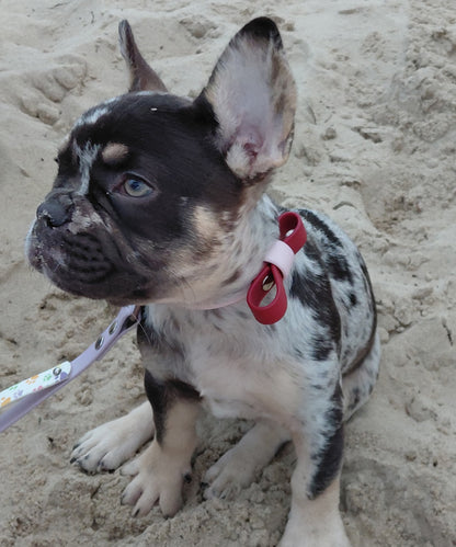 Bow tie for dogs and cats - Biothane 16, 25 and 38 mm