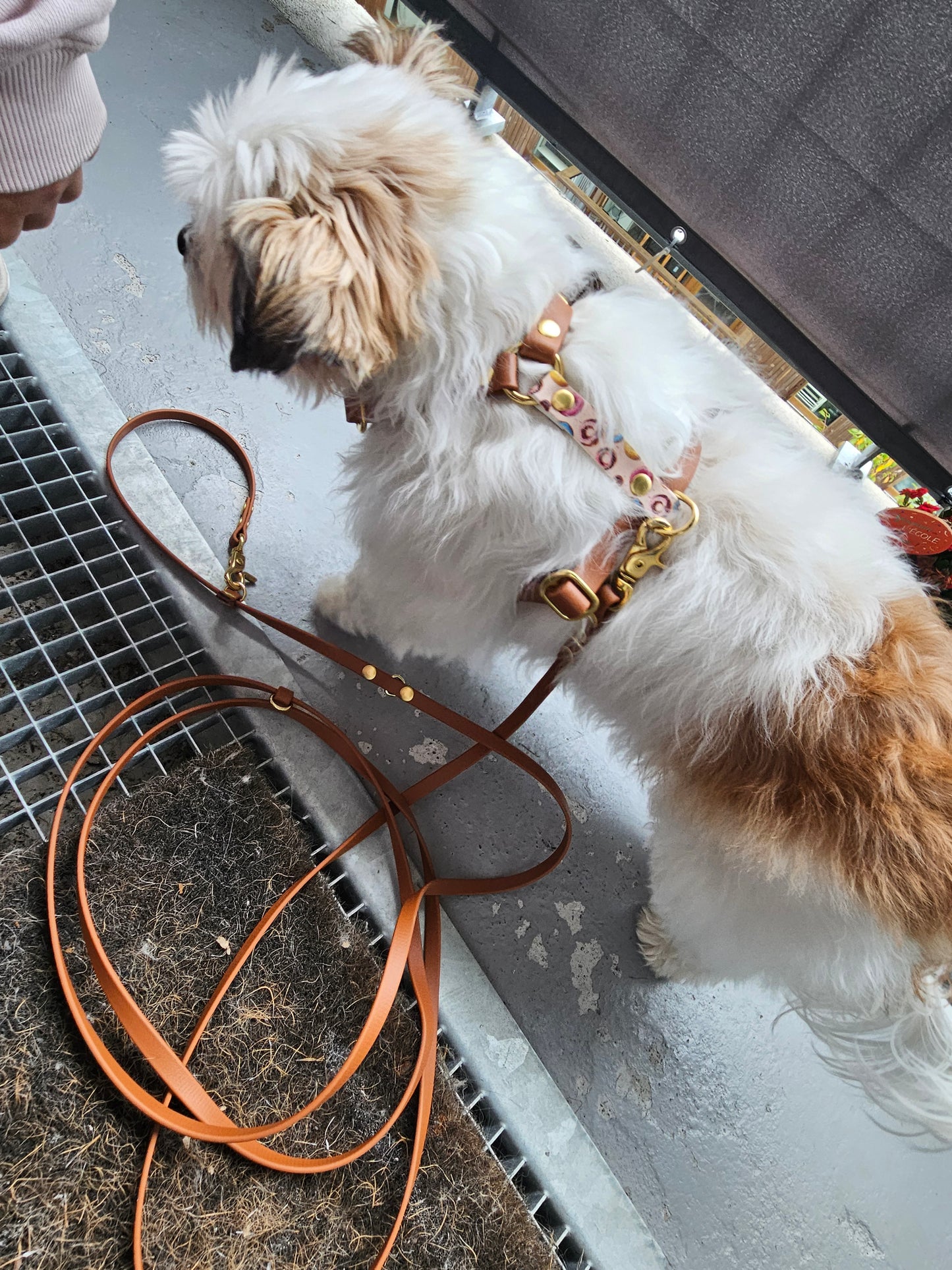 Laisse multiposition personnalisée en biothane 9 mm