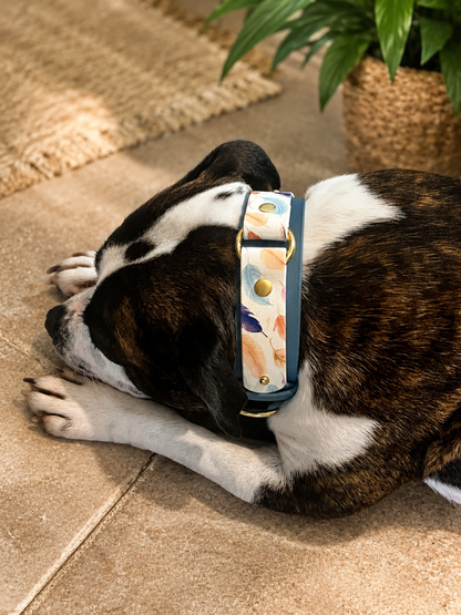 Collier chien Biothane personnalisé - LAS VEGAS 38 mm