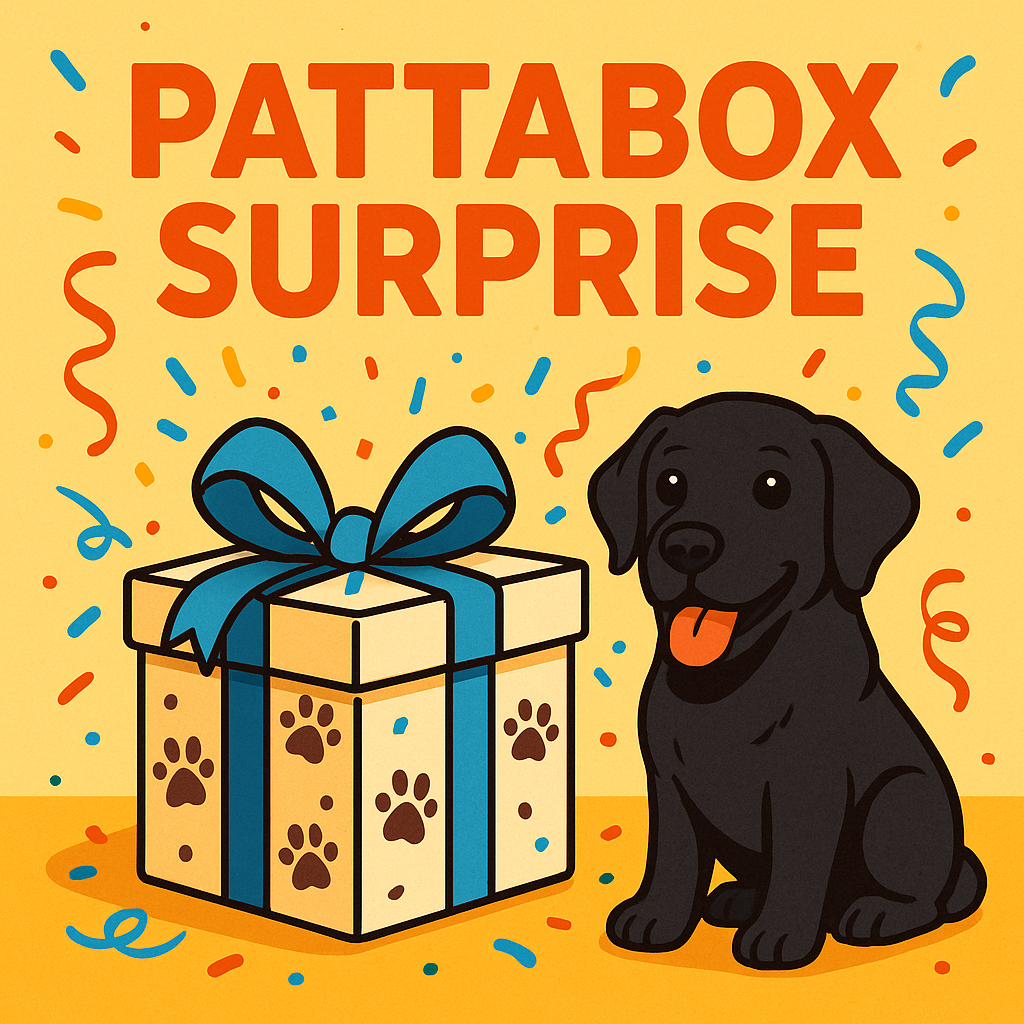 Pattabox surprise 🎁❓