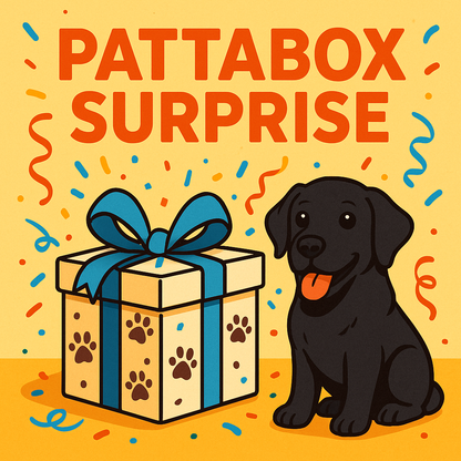 Pattabox surprise 🎁❓