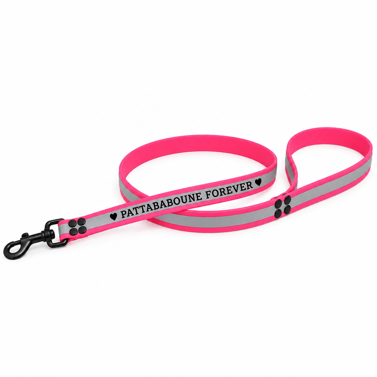 Laisse réfléchissante personnalisée pour chien en biothane 25 mm