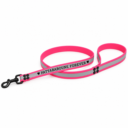 Customizable Reflective Dog Leash - 25mm Biothane