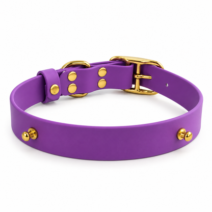 Collier chien Biothane personnalisé - LAS VEGAS 25 mm