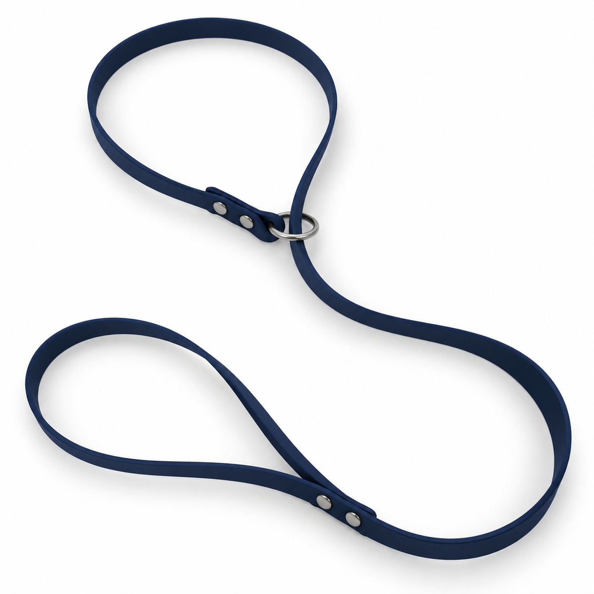 Laisse lasso d’exposition personnalisée pour chien 16 mm