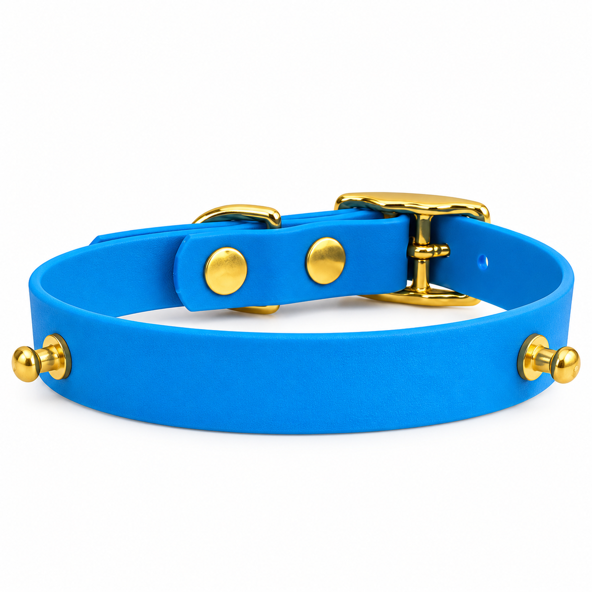 Collier chien Biothane personnalisé Végas 16 mm à bande interchangeable