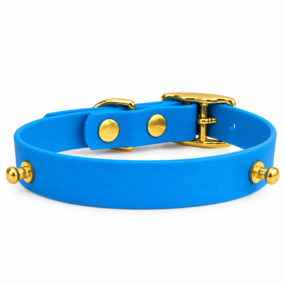 Collier chien Biothane personnalisé Végas 16 mm à bande interchangeable