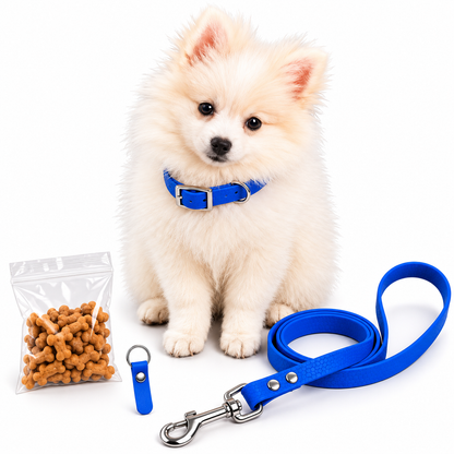 Kit chiot personnalisé TPU : collier, laisse, médaille et friandises