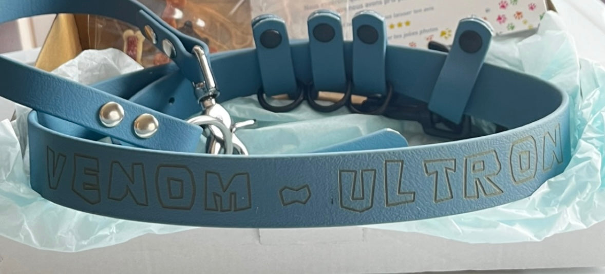 Ceinture personnalisée Impa en biothane 25 mm