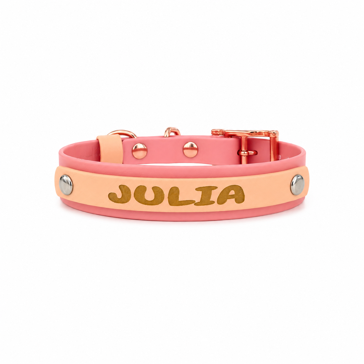 Collier chien Biothane 25mm personnalisé - Bande interchangeable - Gravure laser