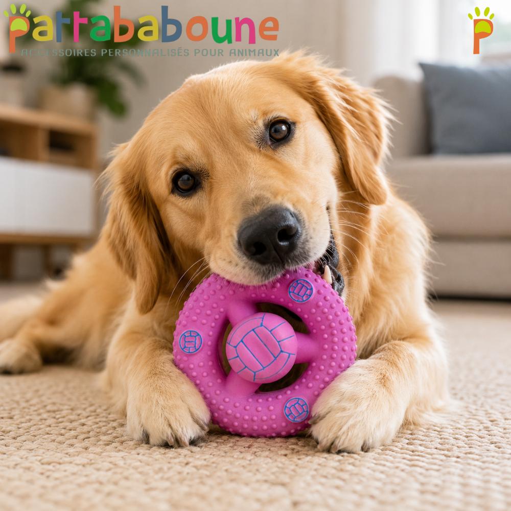 Anneau sonore pour chien - Jouet pouic pouic