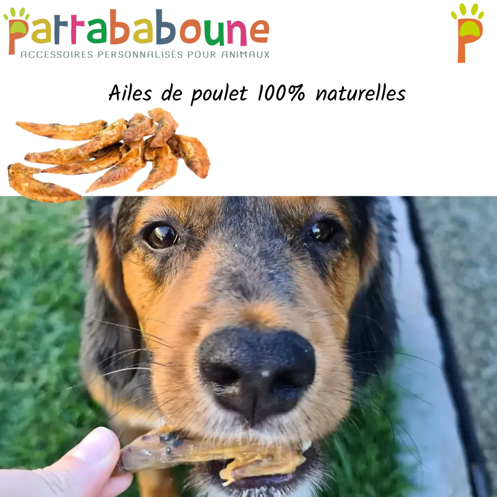 Ailes de poulet 100 % naturelles