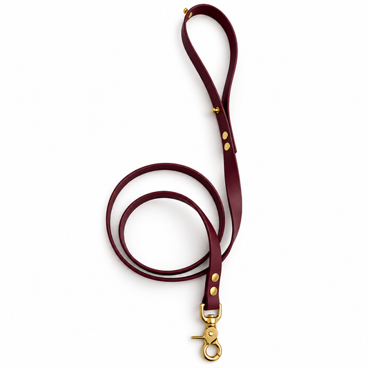 Custom Biothane Leash Las Vegas - 16 & 25 mm