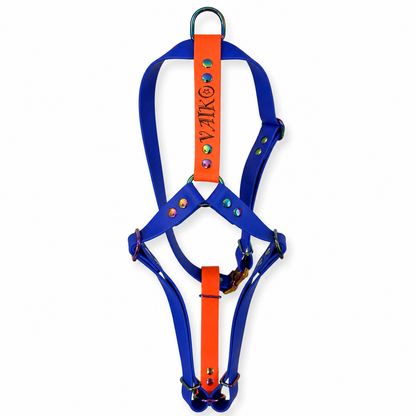 Hexa 25mm Custom H-Harness for dogs | Pattababoune