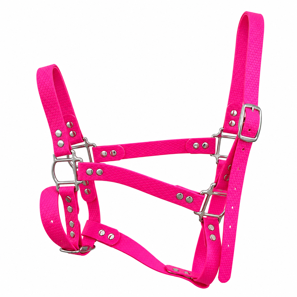 Licol Hexa 25 mm – Poney, Cob & Cheval