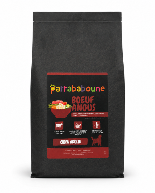 Croquettes premium boeuf Angus sans céréales - Chien adulte