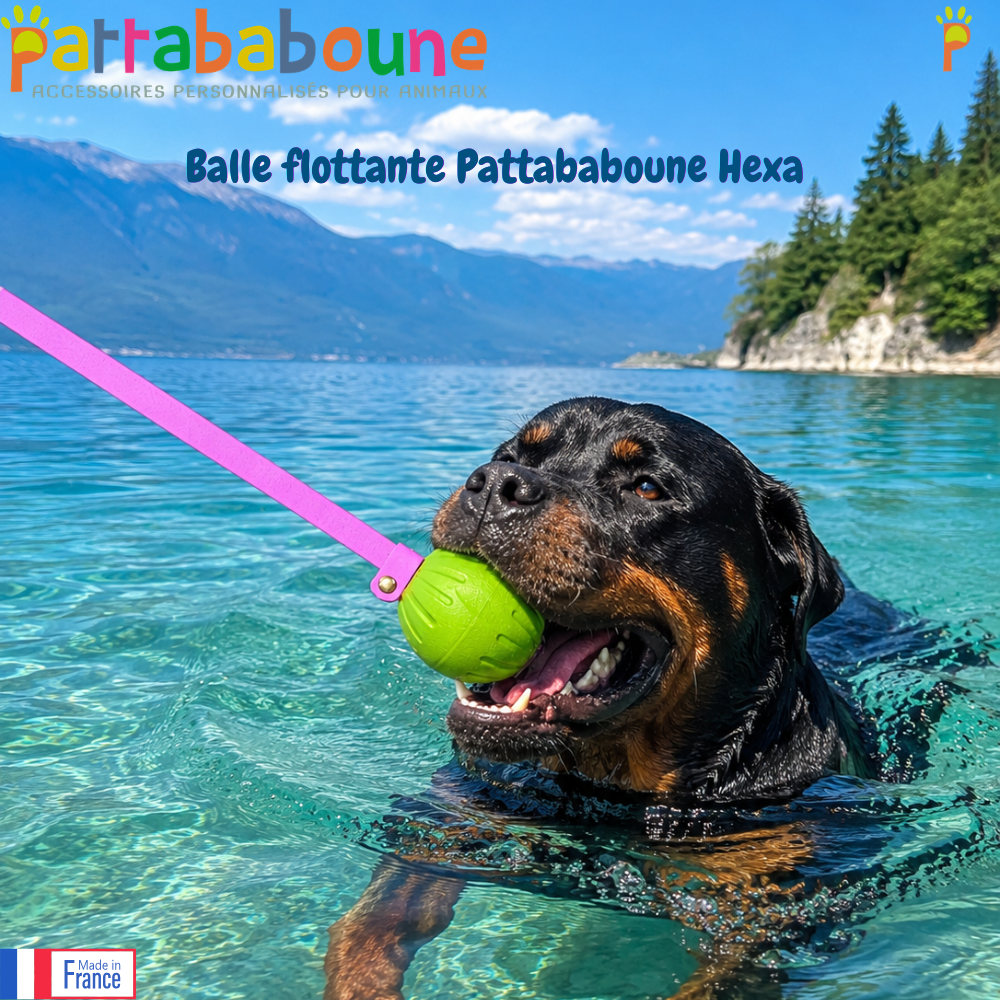 Balle flottante Pattababoune pour chien bande en hexa - Lancer & jeux aquatiques