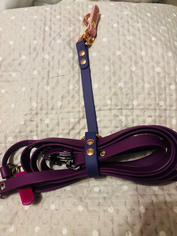 Porte-laisse d'Orion personnalisé en biothane 16 mm