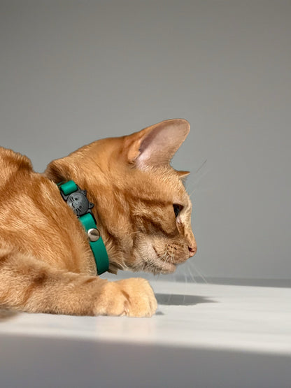 Collier chat anti-étranglement personnalisé - biothane 9 mm