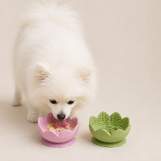 Bol de léchage fleur chien & chat — PRÉCOMMANDE