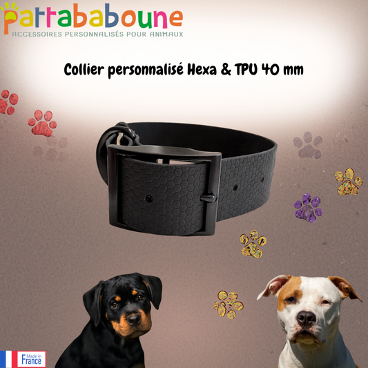 Collier personnalisé Hexa & TPU 40 mm pour chien