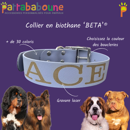 Collier personnalisé en biothane 38 mm - ultra solide & 100% personnalisable