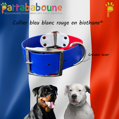 Collier personnalisé en biothane® 38 mm