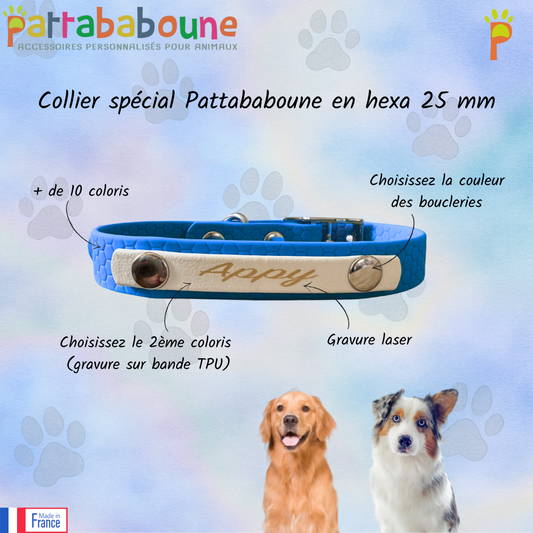 Collier personnalisé spécial Pattababoune en hexa 25 mm