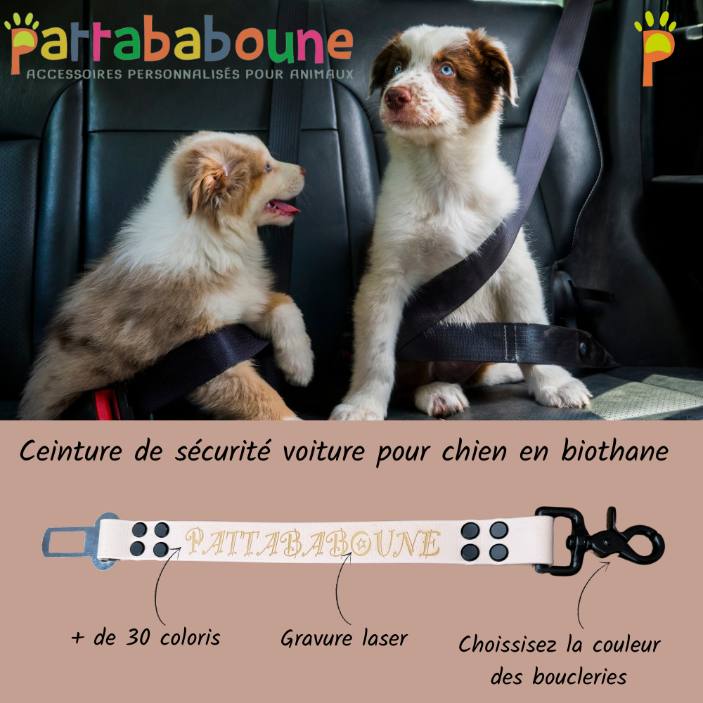 Ceinture de voiture personnalisée pour chien en biothane 25mm