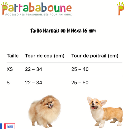 Harnais en H personnalisé pour chien en hexa 16 mm