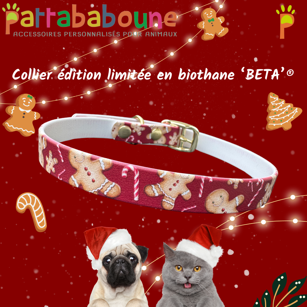 Collier chien & chat édition limitée "Noël pain d'épice" en biothane 'BETA'® 16mm