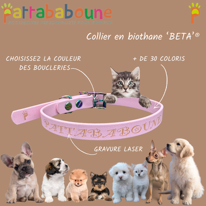 Collier personnalisé en biothane 16 mm pour chiens et chats