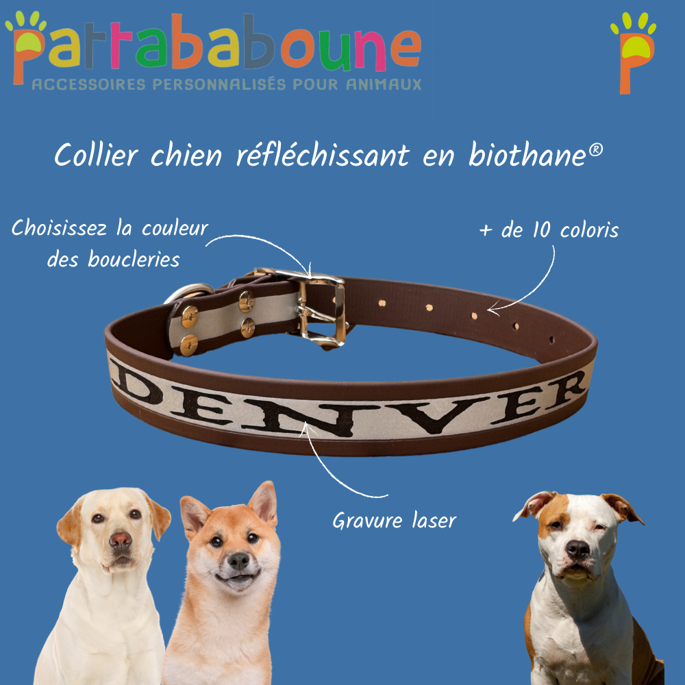 Collier réfléchissant personnalisable en biothane 25mm