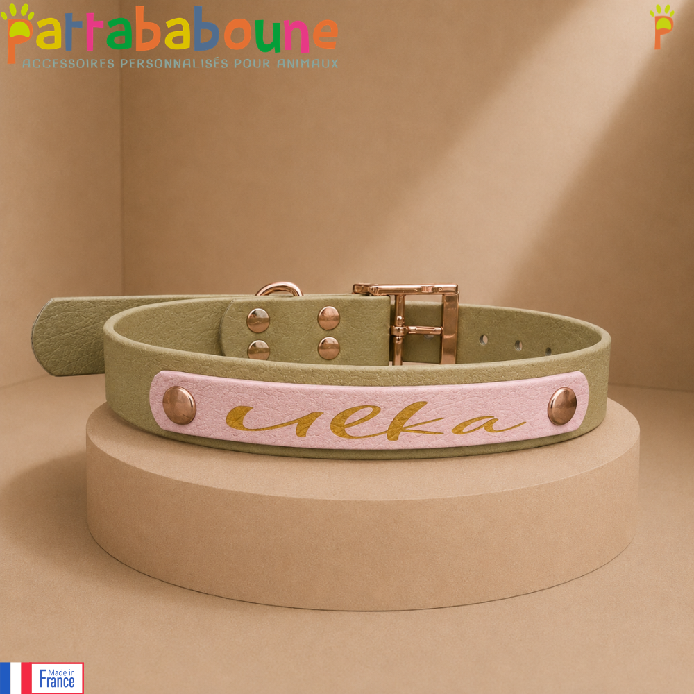 Collier pour chien spéciale Pattababoune en biothane 25 mm - Gravure laser