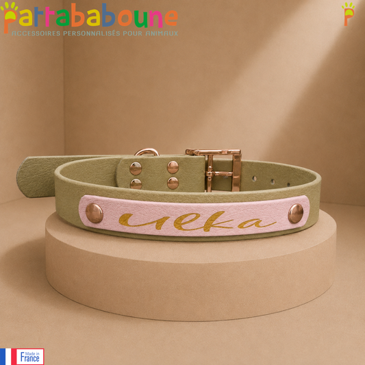 Collier pour chien spéciale Pattababoune en biothane 25 mm - Gravure laser