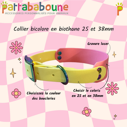 Collier double personnalisé en biothane 38 mm et 25 mm