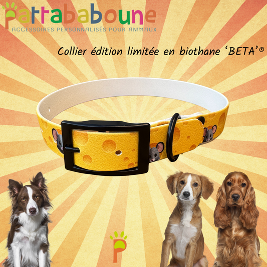 Collier chien édition limitée "cheese mouse" en biothane 'BETA'® 25mm