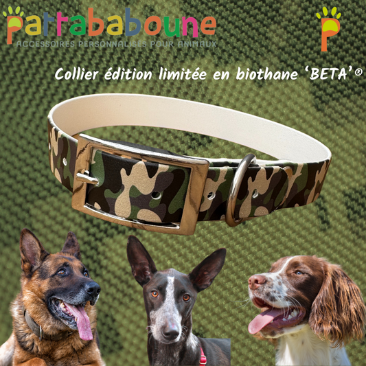 Collier chien édition limitée "camouflage" en biothane 25mm