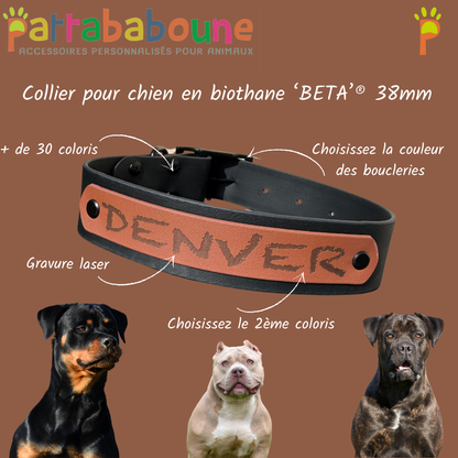 Collier personnalisé spécial Pattababoune en biothane 38 mm