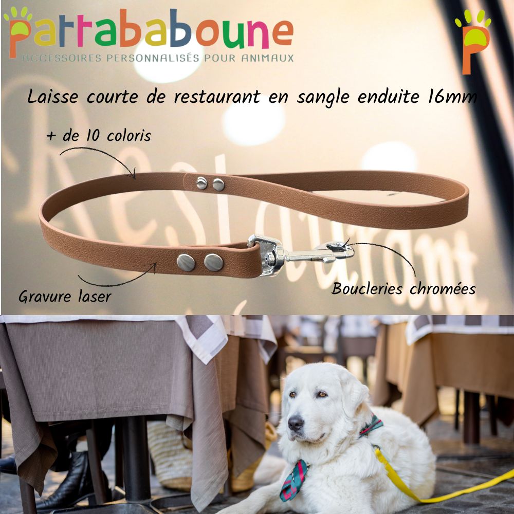 Laisse restaurant personnalisée pour chien en sangle enduite 16mm