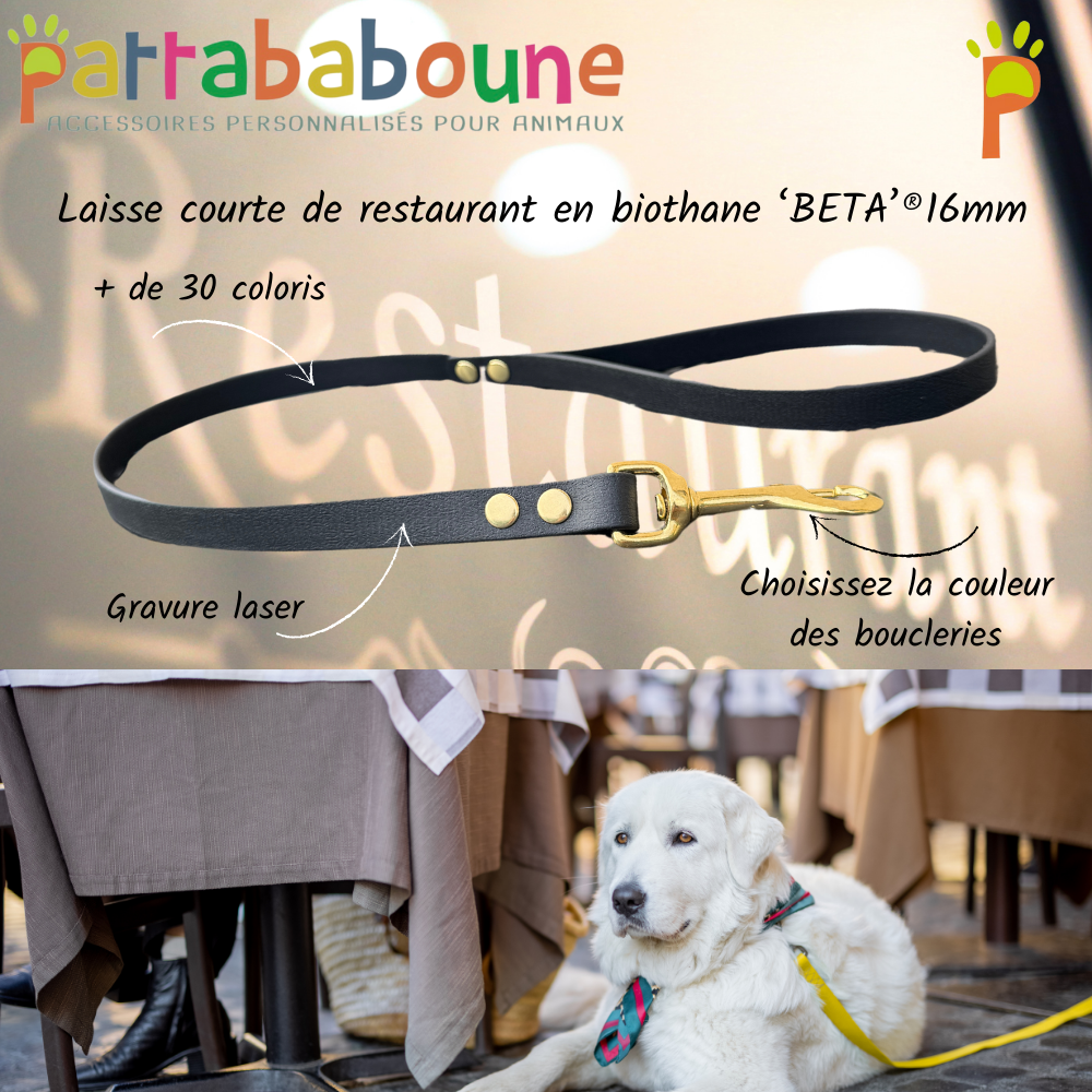 Laisse restaurant personnalisée pour chien en biothane 16mm