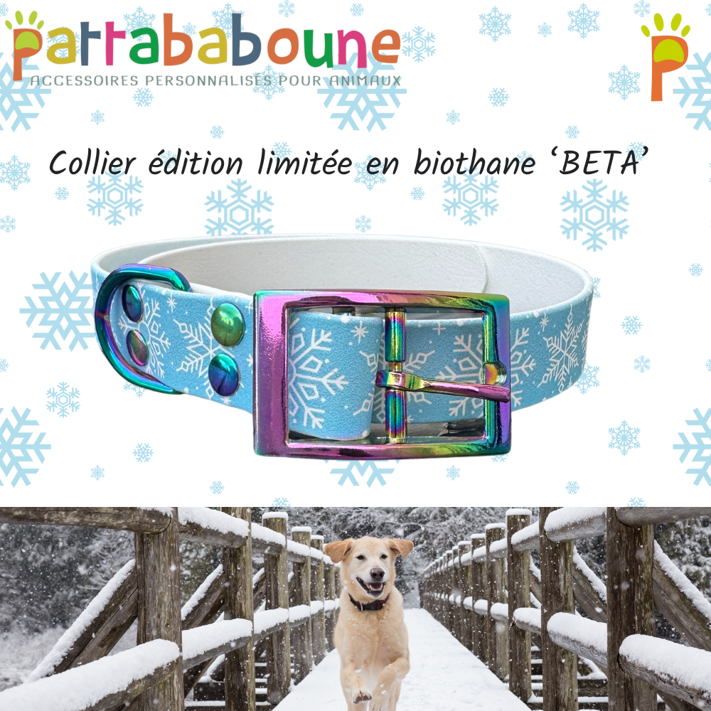 Collier chien édition limitée "flocons de neige" en biothane 'BETA'® 25mm