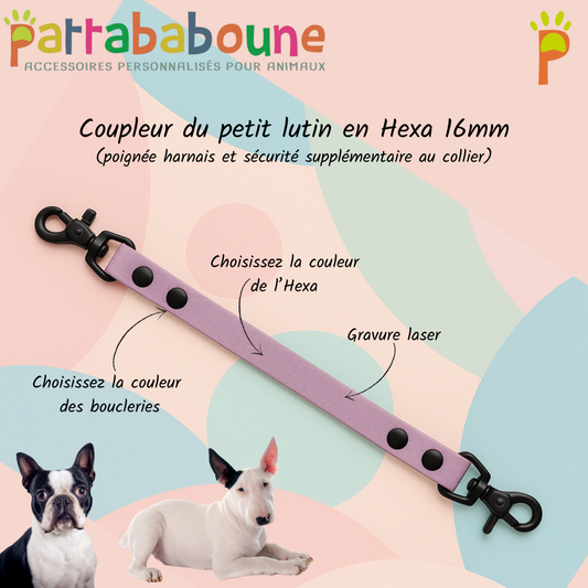 Coupleur du petit lutin en hexa 16 mm