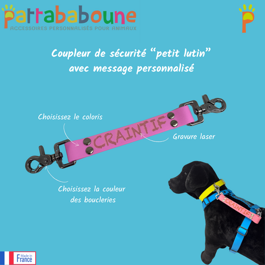 Coupleur de sécurité personnalisé en biothane 25 "petit lutin"