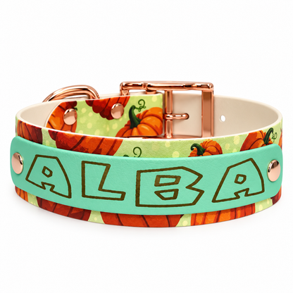 Collier chien personnalisé spéciale Pattababoune - Biothane Édition limitée 38 mm