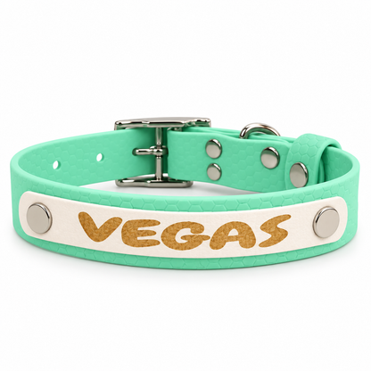 Collier chien Hexa personnalisé 25 mm, édition Spéciale Pattababoune
