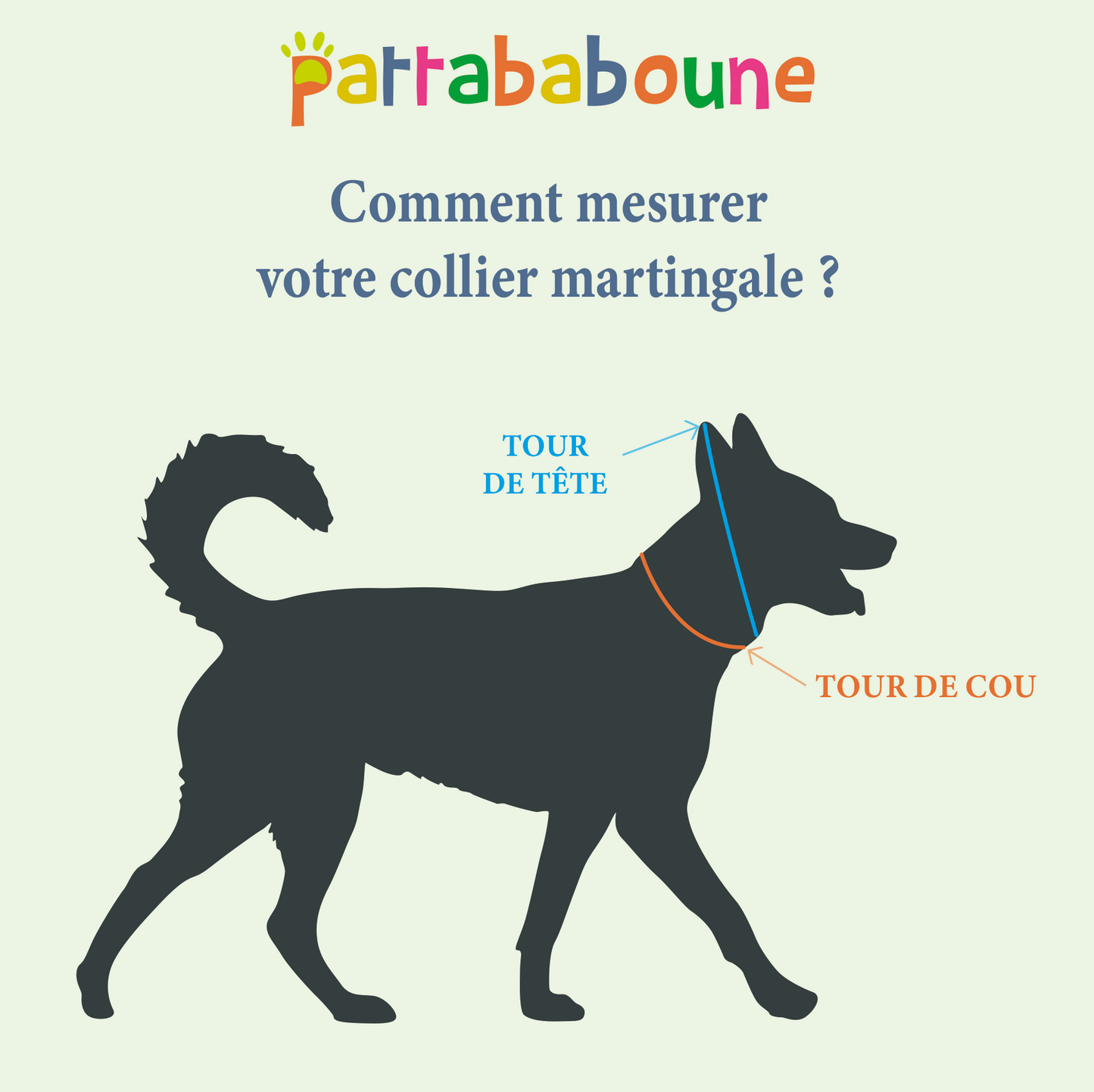 Collier martingale réglable en biothane 25 mm - Pattaboucle